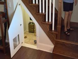 她在樓梯下面為狗狗做了「哈利波特小房間」看到裡面的裝潢...只能說這狗太好命了！