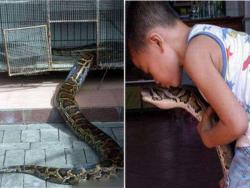1996年他拯救了一條受傷的小蟒蛇，長成巨蟒後牠竟然多次報恩，看完不禁嚇出一身冷汗！