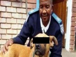 女友滿足不了他，南非男竟性侵女友的獒犬！獒犬表情一臉痛苦...