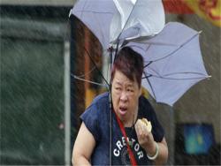 梅姬颱風肆虐台灣，即便雨傘開花大媽仍然堅持吃肉包登上國際版面，沒想到這背後有個甜蜜的原因！