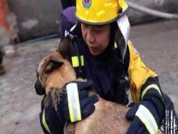 消防隊員8年前收養了一隻受凍小狗，去年小狗死後竟發生了「這件事」…讓救火弟兄們當場崩淚！