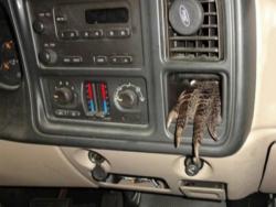 警察臨檢，發現車上有「腐臭味」，轉頭看見「一隻奇怪的爪子」...後車箱的東西讓他們活活嚇傻！