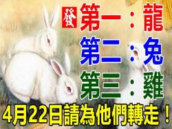 你身邊有屬龍，兔，雞的人嗎？4月22日請為他們轉走！