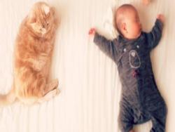 誰說家裡有小孩就不能養寵物？日本網友用這些照片告訴你毛孩+小孩=超級療癒！