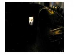晚上開車，開了遠光燈，看到恐怖畫面，嚇到立馬切回近光燈。。。。