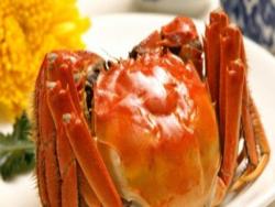 螃蟹怎麼保存 活螃蟹和煮熟螃蟹的保存方法