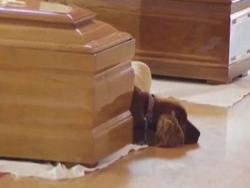 強震後，義大利舉國為罹難者舉辦葬禮，告別式中驚見狗狗趴在靈柩邊默默守候…
