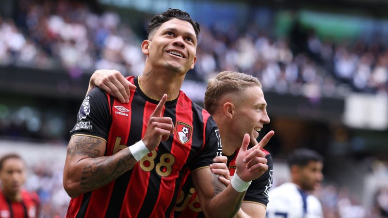 Bournemouth vs Brighton & Hove Albion