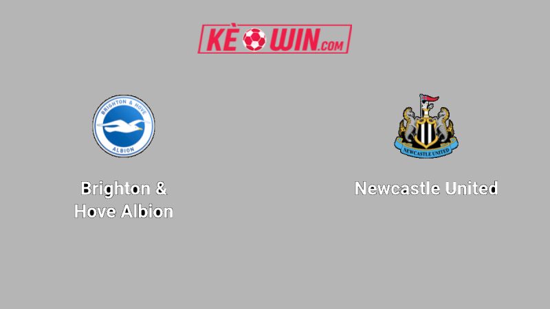 Brighton & Hove Albion vs Newcastle United – Kèo bóng đá 21h00 18/10/2025 – Ngoại hạng Anh